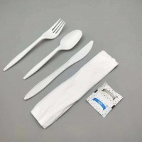 Eco Friendly Travel Flatware Sets Spoon Fork Knife and Spoon